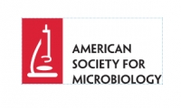 American Society for Microbiology - probni pristup za IRB