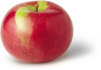 Macintosh Apples preuzeta s bulknaturalfoods.com